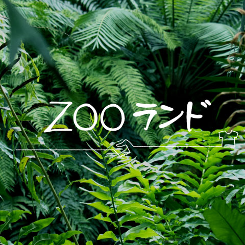 古着販売 ZOOランド